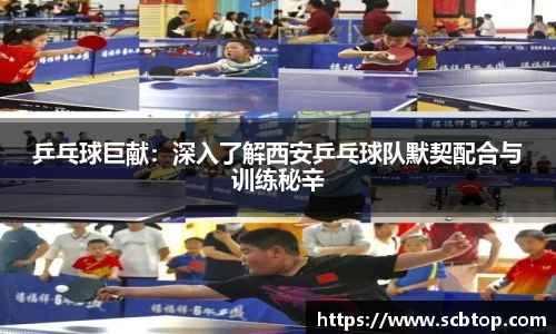 YY易游体育