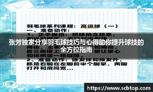 张芳独家分享羽毛球技巧与心得助你提升球技的全方位指南