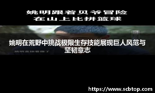 YY易游体育