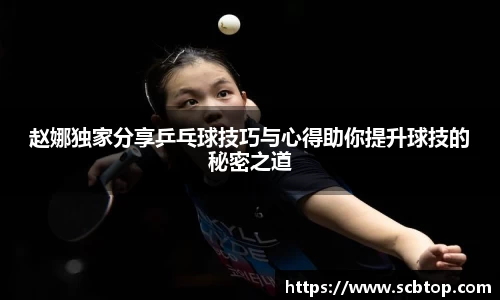 YY易游体育