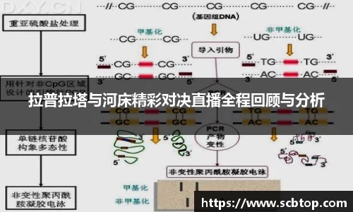 YY易游体育