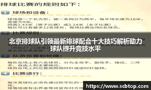 YY易游体育