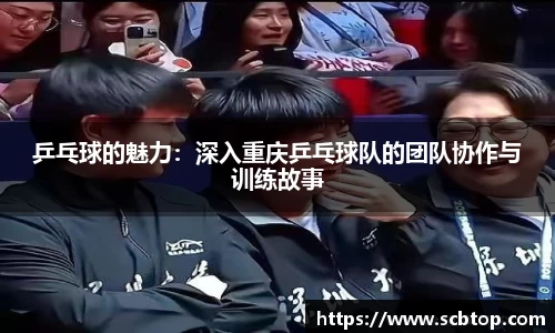 YY体育